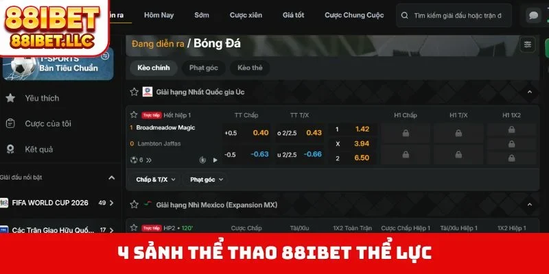 4 sảnh thể thao 88IBET thể lực